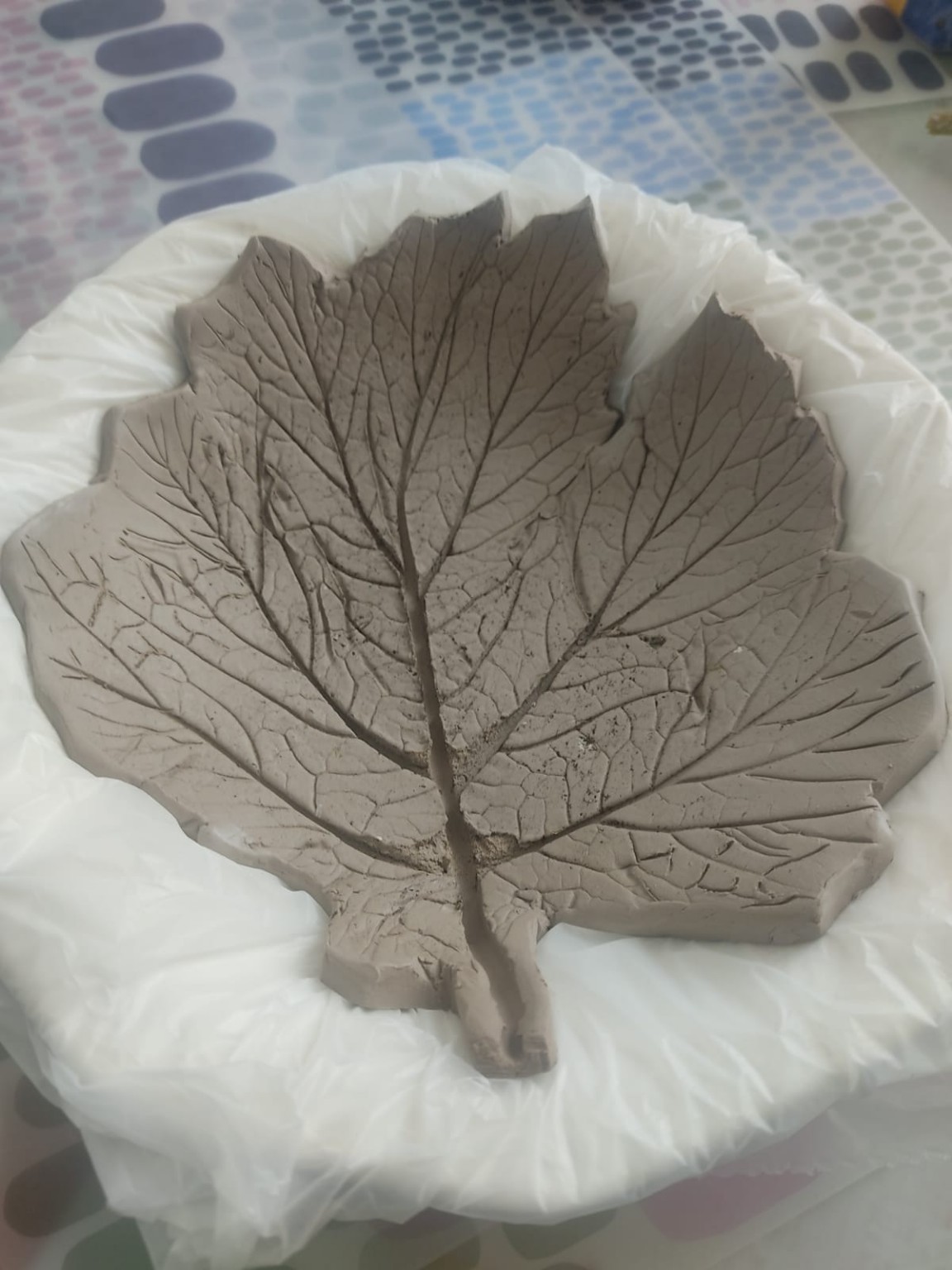 Hoja cóncava en arcilla durante el proceso de secado
