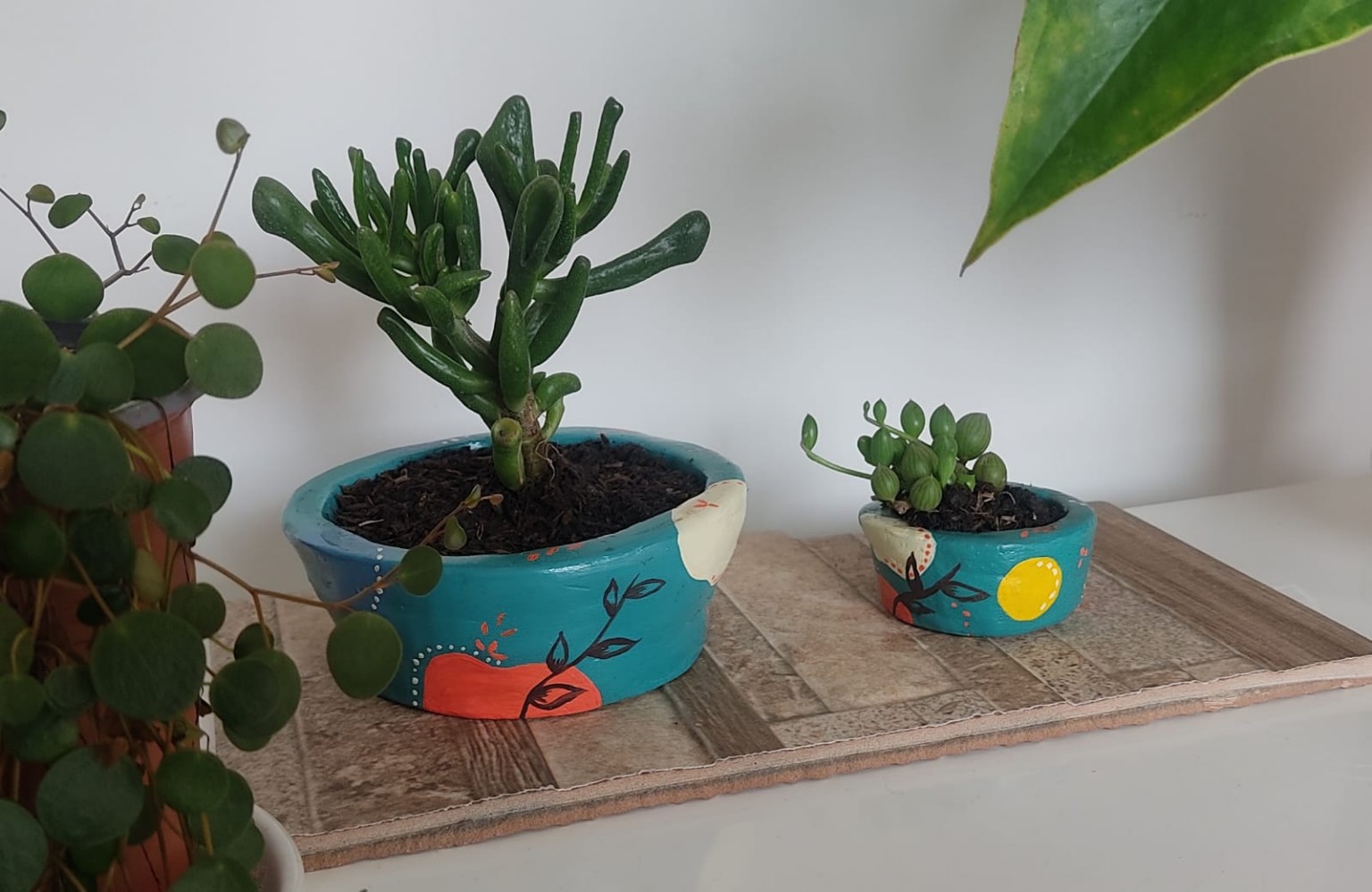 Materas terminadas con sus plantas ornamentales